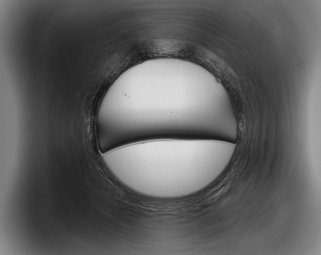 X0000097990462200803241025
