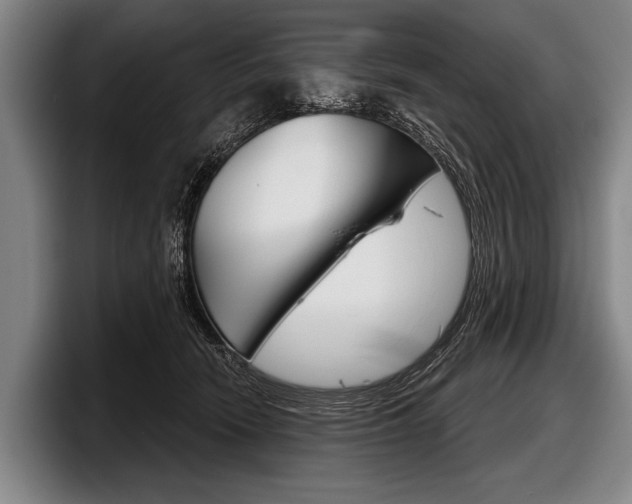 X0000097990466200803241025
