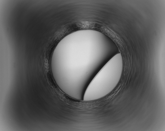 X0000097990469200803241025
