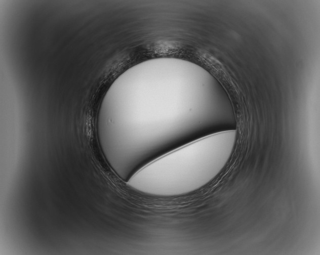 X0000097990470200803241025