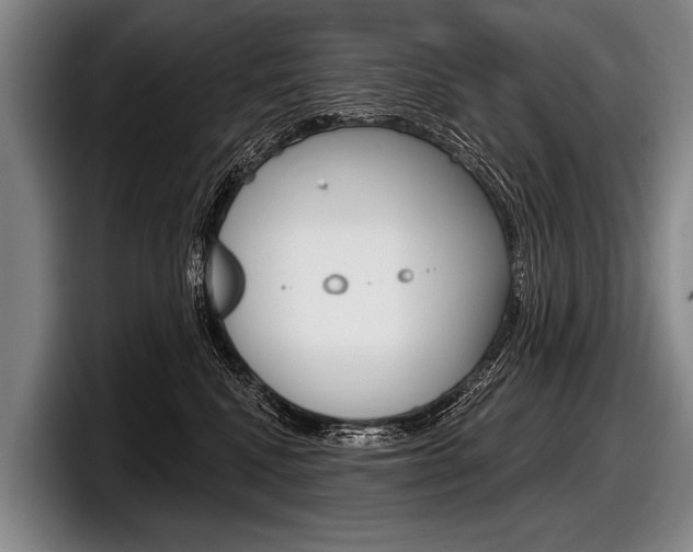 X0000097990472200803241025