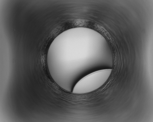 X0000097990473200803241025
