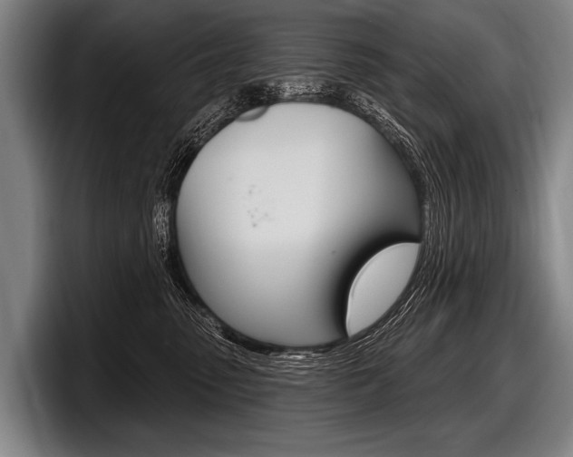 X0000097990475200803241025