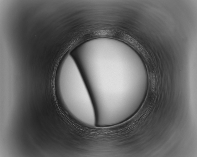 X0000097990482200803241025