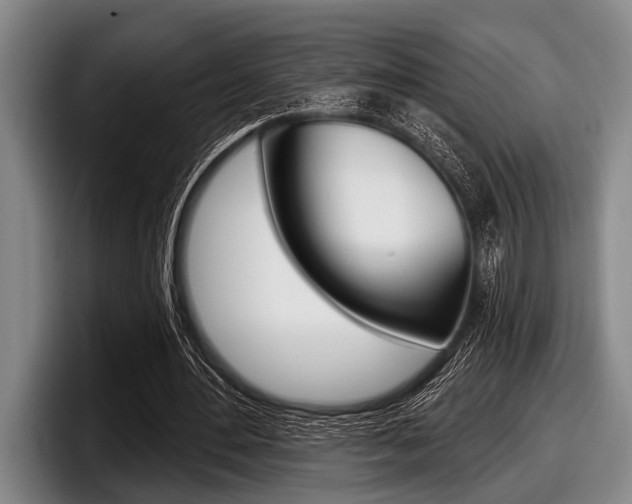 X0000097990484200803241025