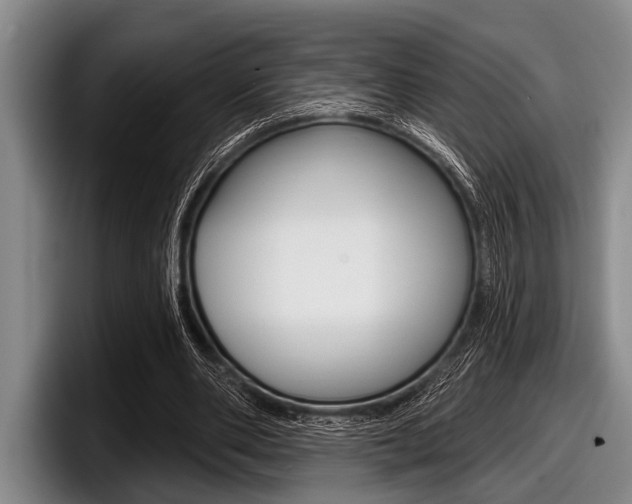 X0000097990486200803241024