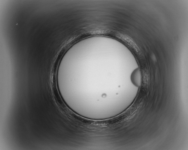 X0000097990491200803241024