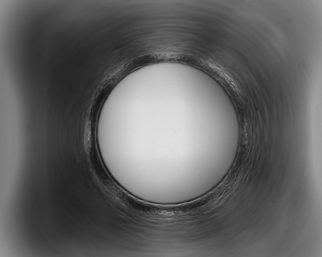 X0000097990494200803241024