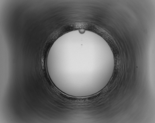 X0000097990502200803241024