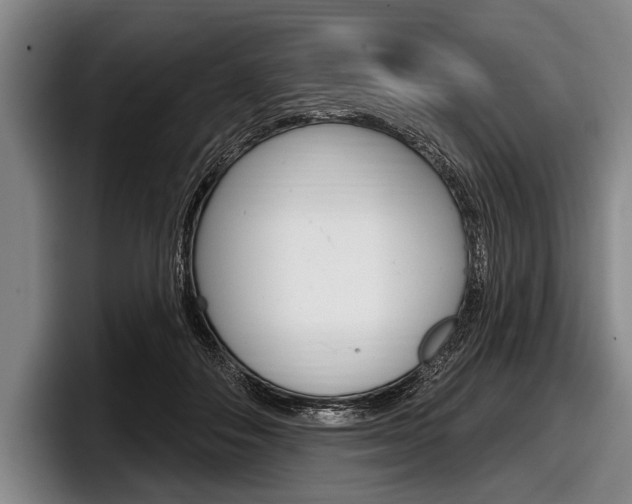 X0000097990506200803241024