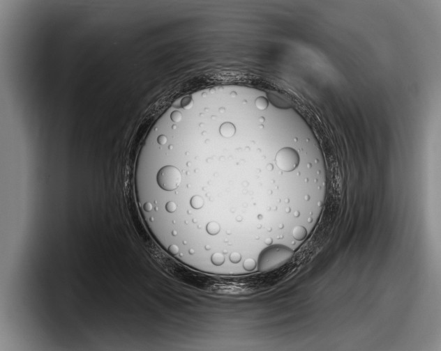 X0000097990507200803241024