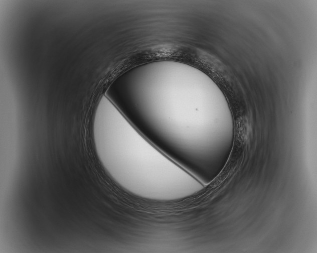 X0000097990509200803241024