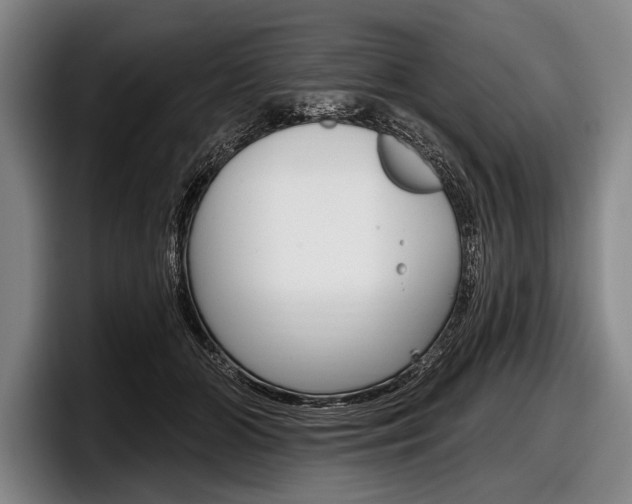 X0000097990510200803241024