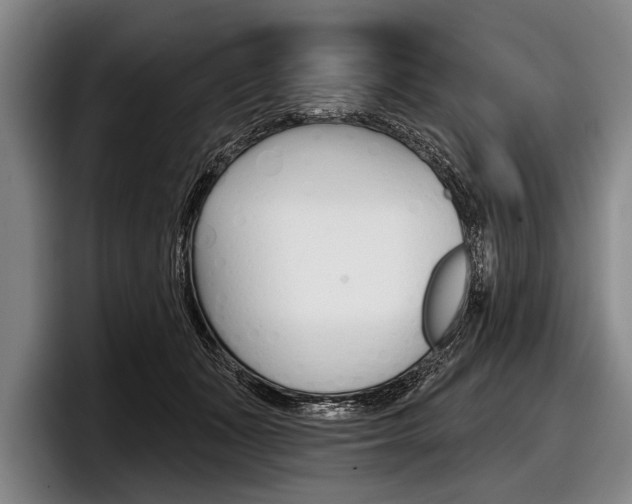 X0000097990511200803241024