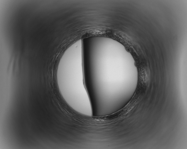 X0000097990512200803241024