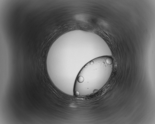 X0000097990519200803241024