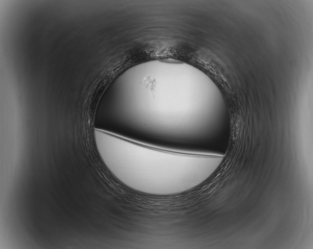 X0000097990521200803241024
