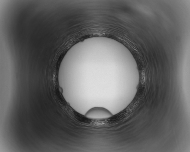 X0000097990522200803241024