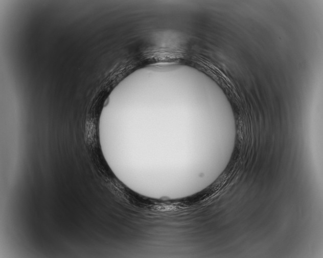 X0000097990523200803241024