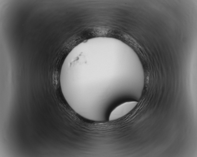 X0000097990525200803241024