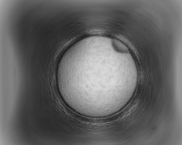 X0000097990529200803241023