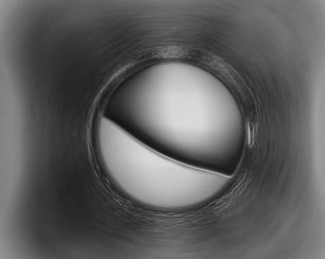 X0000097990531200803241023