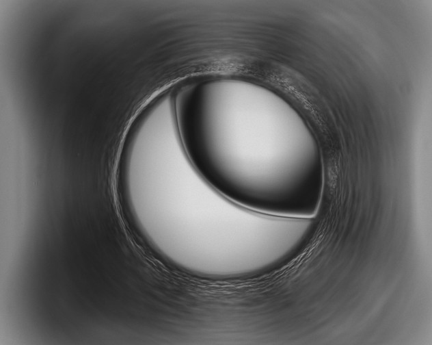 X0000097990532200803241023