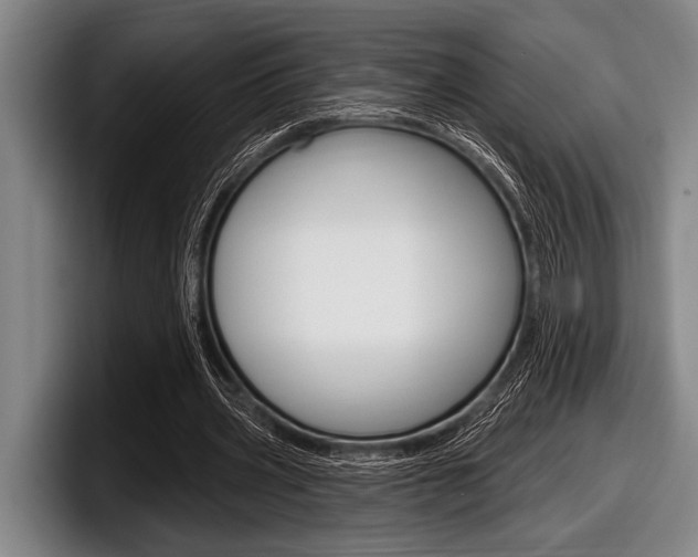 X0000097990533200803241023