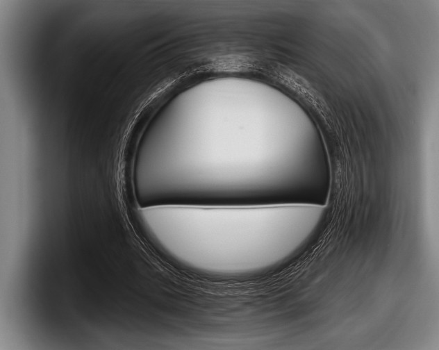 X0000097990535200803241023