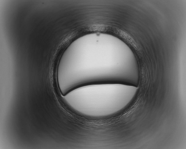 X0000097990538200803241023