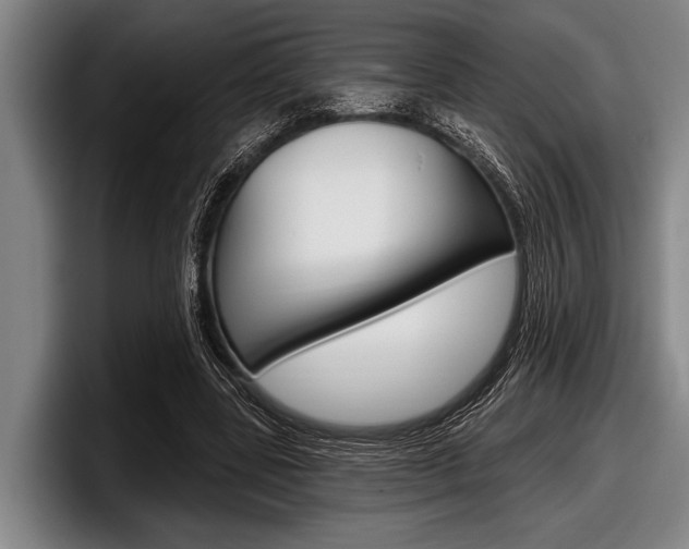 X0000097990539200803241023