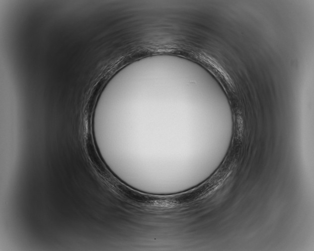 X0000097990541200803241023