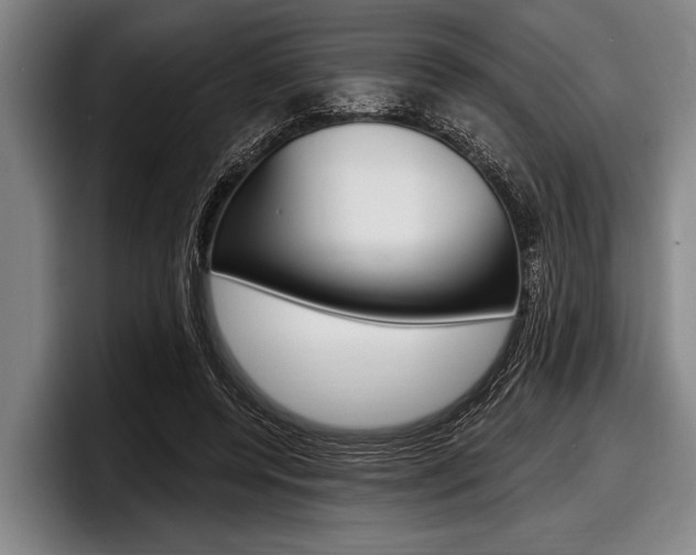 X0000097990544200803241024