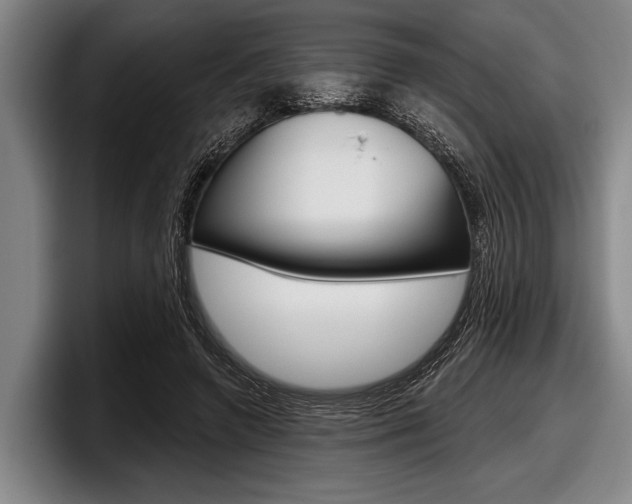 X0000097990546200803241024