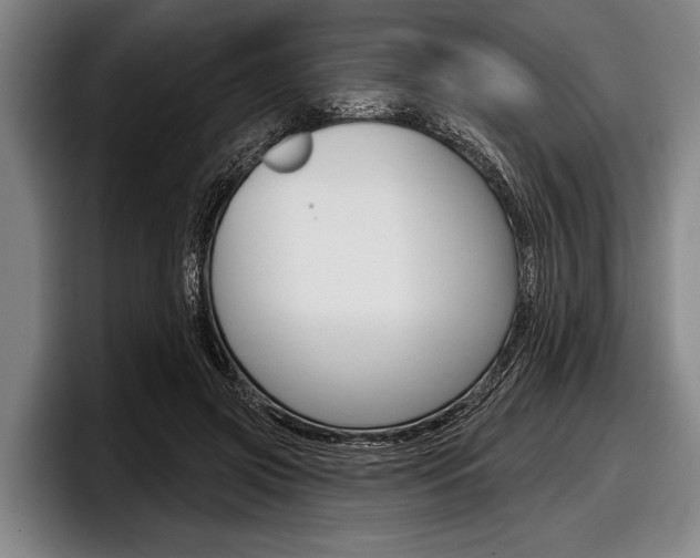 X0000097990549200803241024
