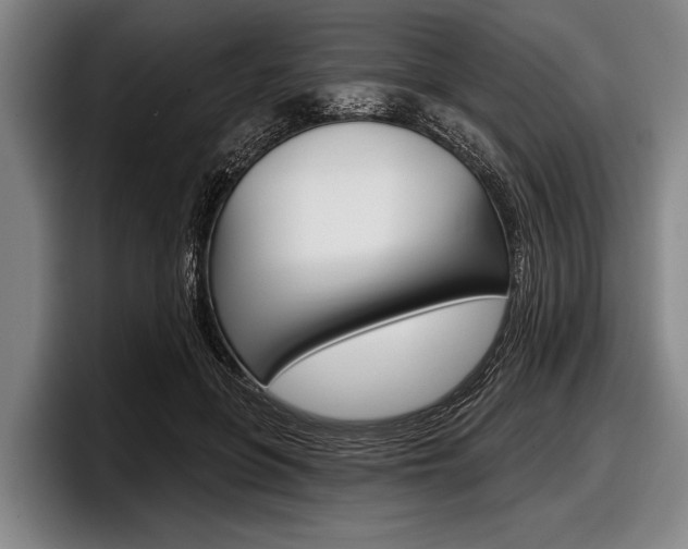X0000097990551200803241024