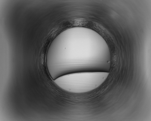 X0000097990554200803241024