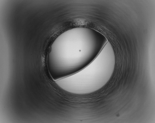 X0000097990556200803241024