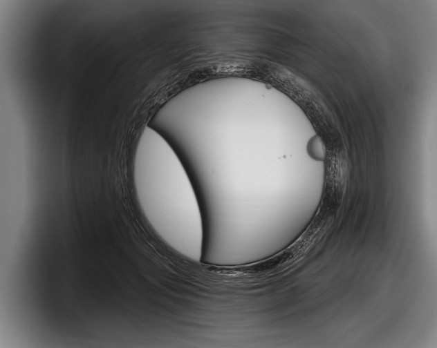 X0000097990557200803241024