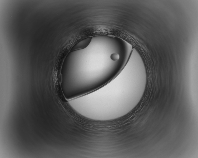X0000097990560200803241024
