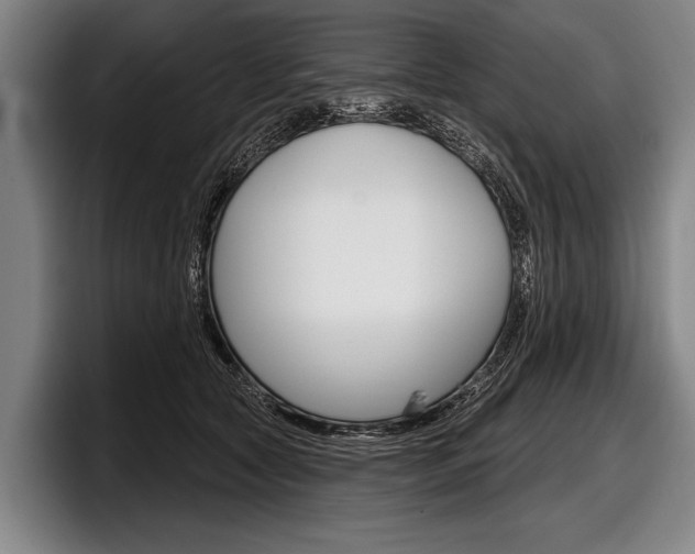 X0000097990561200803241024