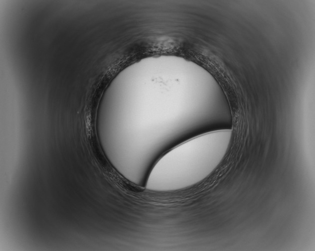 X0000097990564200803241024