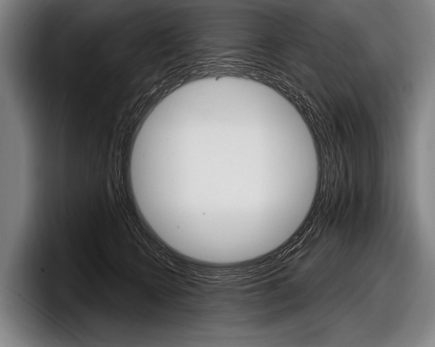 X0000097990566200803241024