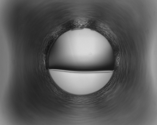 X0000097990570200803241024