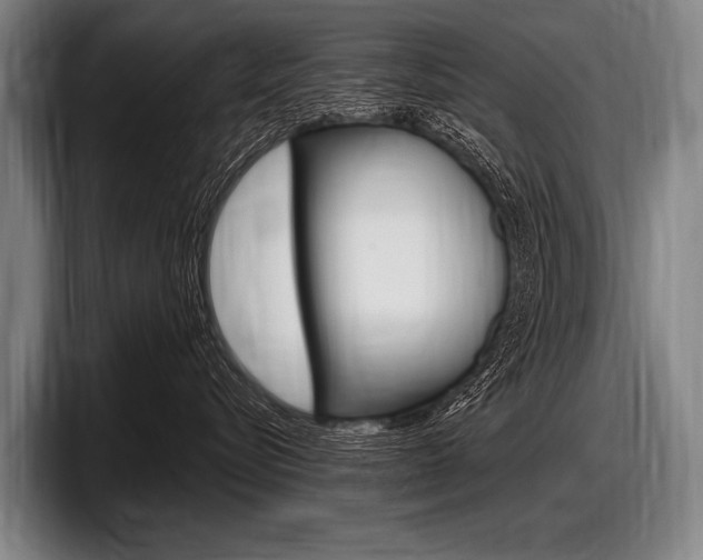 X0000097990576200803241024