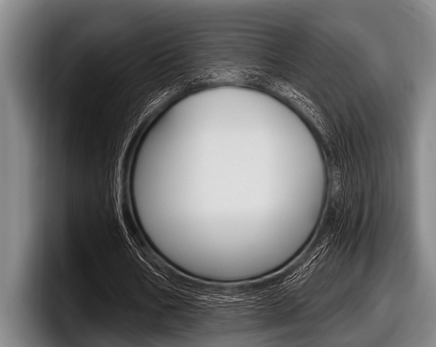 X0000097990578200803241023