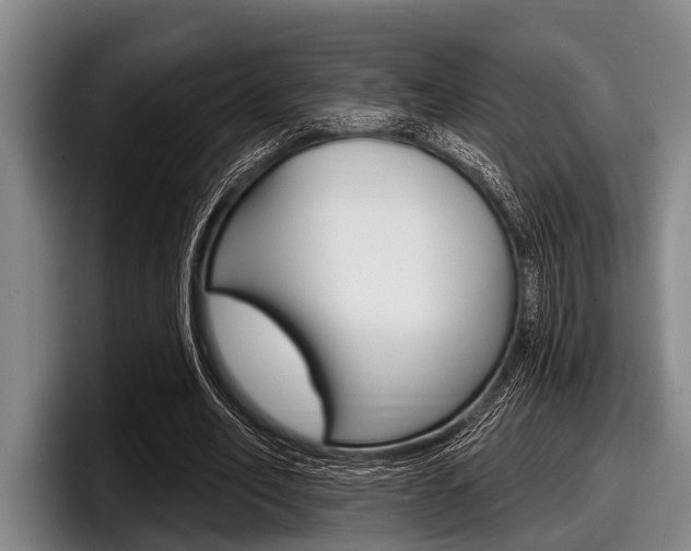 X0000097990582200803241023