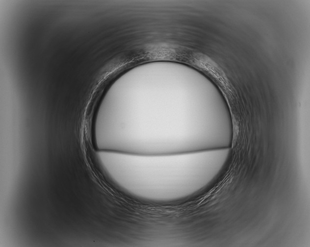 X0000097990583200803241023