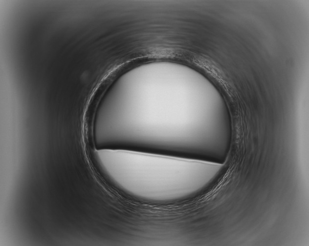 X0000097990584200803241023