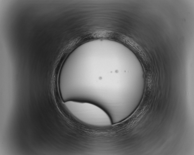 X0000097990586200803241023